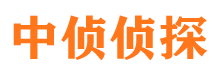 蔡甸寻人公司